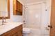 2824 Wheatland, Naperville, IL 60564