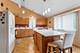 2141 W Cimarron, Addison, IL 60101