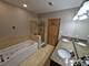 3745 S Michigan Unit 2, Chicago, IL 60653