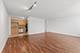 4250 N Marine Unit 531, Chicago, IL 60613