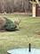 1004 N Harrison, Algonquin, IL 60102