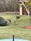1004 N Harrison, Algonquin, IL 60102