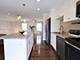 38 The Court Of Greenway, Northbrook, IL 60062