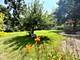 115 S Cedar, Wood Dale, IL 60191