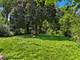 132 S Greenwood, Palatine, IL 60074