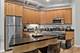 1919 S Michigan Unit 200, Chicago, IL 60616