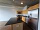 1620 S Michigan Unit 322, Chicago, IL 60616