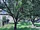 20952 W Olive, Plainfield, IL 60544