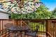 6558 N Troy, Chicago, IL 60645