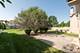 7901 Braeloch, Orland Park, IL 60462