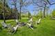 1S100 Il Rte 47, Elburn, IL 60119
