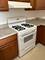 2605 S Indiana Unit 1504, Chicago, IL 60616