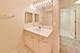 6801 N Milwaukee Unit 410, Niles, IL 60714