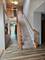 9712 Bennington, Huntley, IL 60142