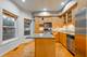 1017 W Dakin Unit 1, Chicago, IL 60613