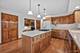 251 N Cambridge, Geneva, IL 60134
