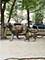 2100 N Lincoln Park West Unit 7FN, Chicago, IL 60614