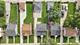 425 47th, Bellwood, IL 60104