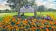 917 Vose Unit 102, Gurnee, IL 60031