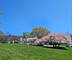 917 Vose Unit 102, Gurnee, IL 60031