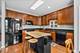 1123 Pine Valley, Elgin, IL 60124