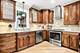 916 S I Oka, Mount Prospect, IL 60056