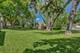 547 Reese, East Dundee, IL 60118