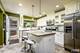 1525 Wedgefield, Naperville, IL 60563