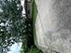 5717 Dover, Oak Forest, IL 60452