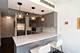 21 W Goethe Unit 5G, Chicago, IL 60610