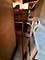 10952 S Emerald, Chicago, IL 60628