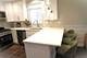 9042 S Emerald, Chicago, IL 60620