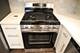 9042 S Emerald, Chicago, IL 60620
