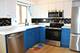2400 W Talcott Unit 223, Park Ridge, IL 60068