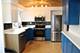 2400 W Talcott Unit 223, Park Ridge, IL 60068