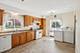 225 S Cuyler, Oak Park, IL 60302