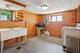 225 S Cuyler, Oak Park, IL 60302