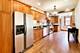 941 W Winona Unit 1W, Chicago, IL 60640