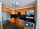 1355 N Sandburg Unit 1608D, Chicago, IL 60610