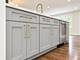 1214 N Crabtree, Mount Prospect, IL 60056