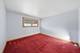 10519 S Pulaski, Chicago, IL 60655