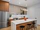 515 W Elm Unit 401, Chicago, IL 60610