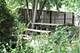 4256 N Ottawa, Norridge, IL 60706