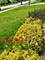 1208 Halifax, Mundelein, IL 60060