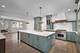 1321 N Webster, Naperville, IL 60563