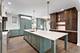 1321 N Webster, Naperville, IL 60563
