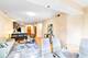 1250 S Indiana Unit 307, Chicago, IL 60605
