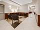 1250 S Indiana Unit 307, Chicago, IL 60605