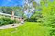 8425 Lawndale, Skokie, IL 60076