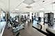 1122 N Clark Unit 3606, Chicago, IL 60638